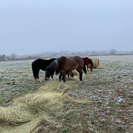 Chambres D Hote A La Ferme Des Buttons, Chambre Iris Rosnay  Bagian luar foto